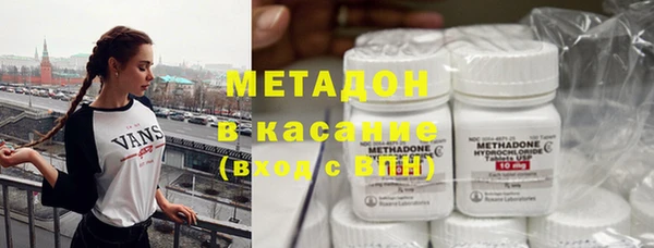 сатива Кущёвская