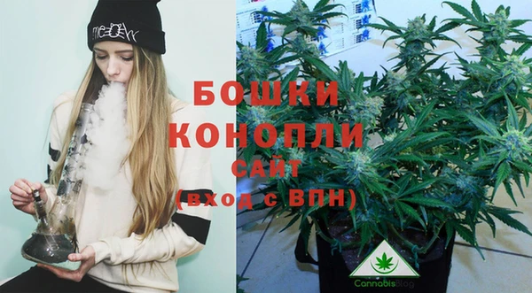 a pvp Туринск