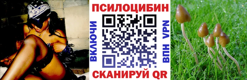 Галлюциногенные грибы мицелий  Сретенск 